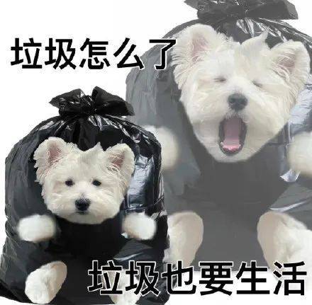 表情包 | 你这垃圾袋挺能藏啊 拿图点赞,吱声_高清图集_新浪网