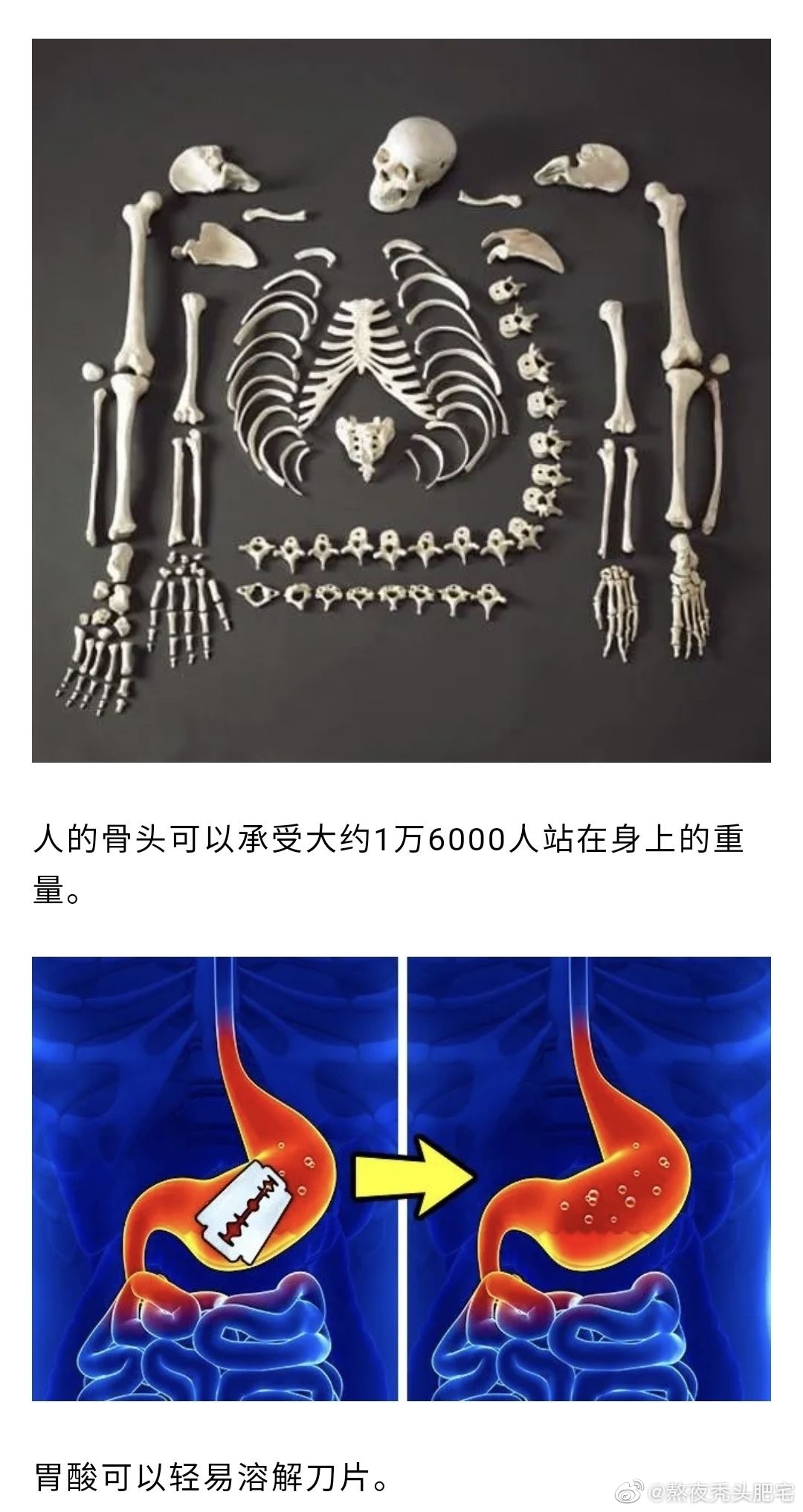 蒋娉婷人体奥秘揭示之旅