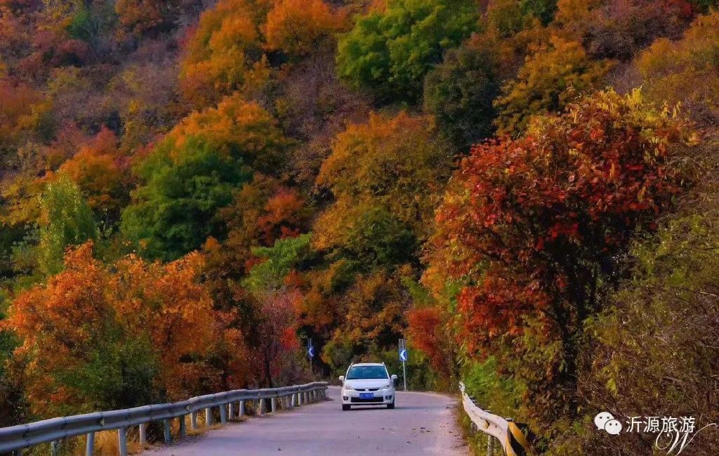 秋天美成童话秘境!淄博这些“赏红叶”宝藏地,我也就心动了999次吧~休闲区蓝鸢梦想 - Www.slyday.coM 秋天美成童话秘境!淄博这些“赏红叶”宝藏地,我也就心动了999次吧~休闲区蓝鸢梦想 - Www.slyday.coM