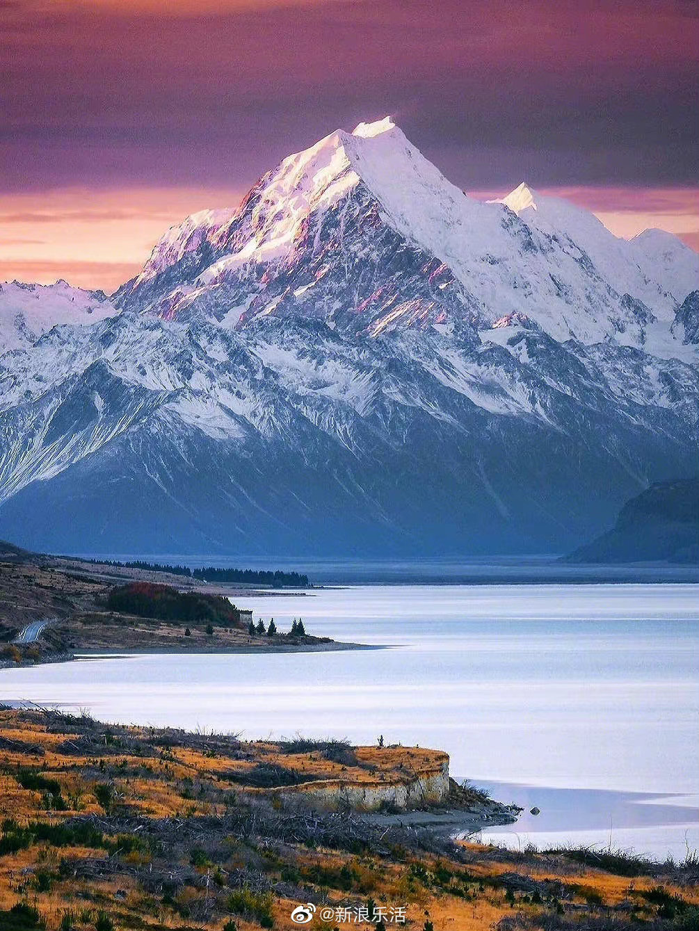 新西兰制造独特优势 婴儿米粉选购指南