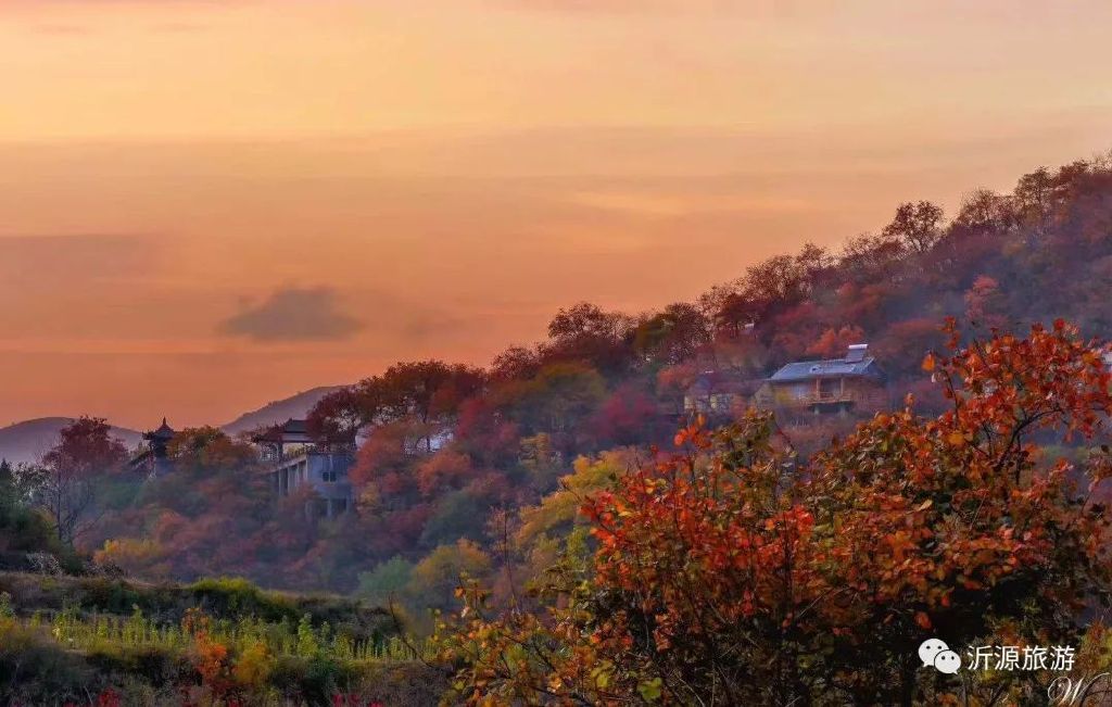 秋天美成童话秘境!淄博这些“赏红叶”宝藏地,我也就心动了999次吧~休闲区蓝鸢梦想 - Www.slyday.coM 秋天美成童话秘境!淄博这些“赏红叶”宝藏地,我也就心动了999次吧~休闲区蓝鸢梦想 - Www.slyday.coM