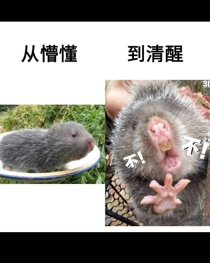 从青春到成熟