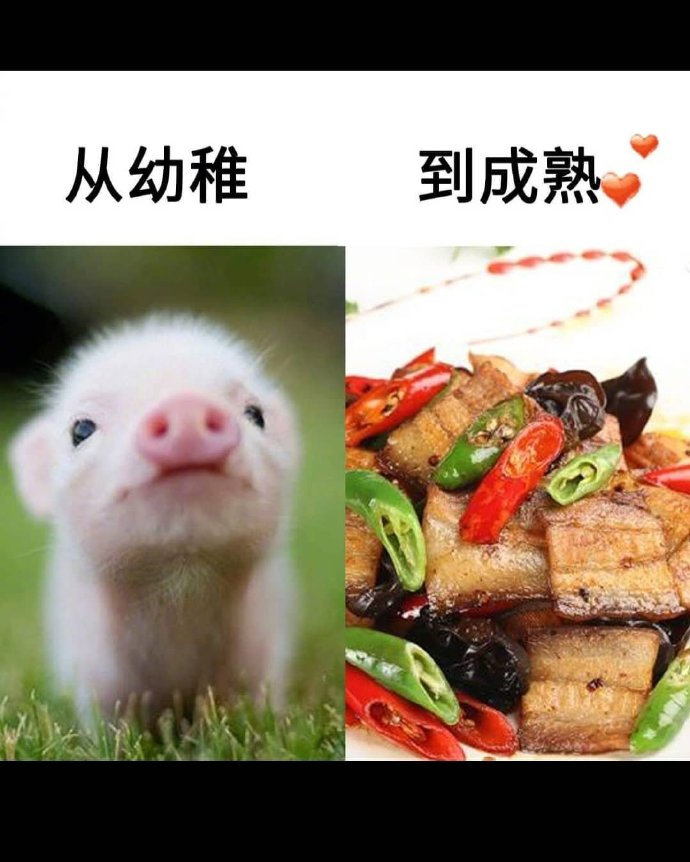 从幼稚到成熟从真实到虚伪从单纯到复杂从懵懂到清醒