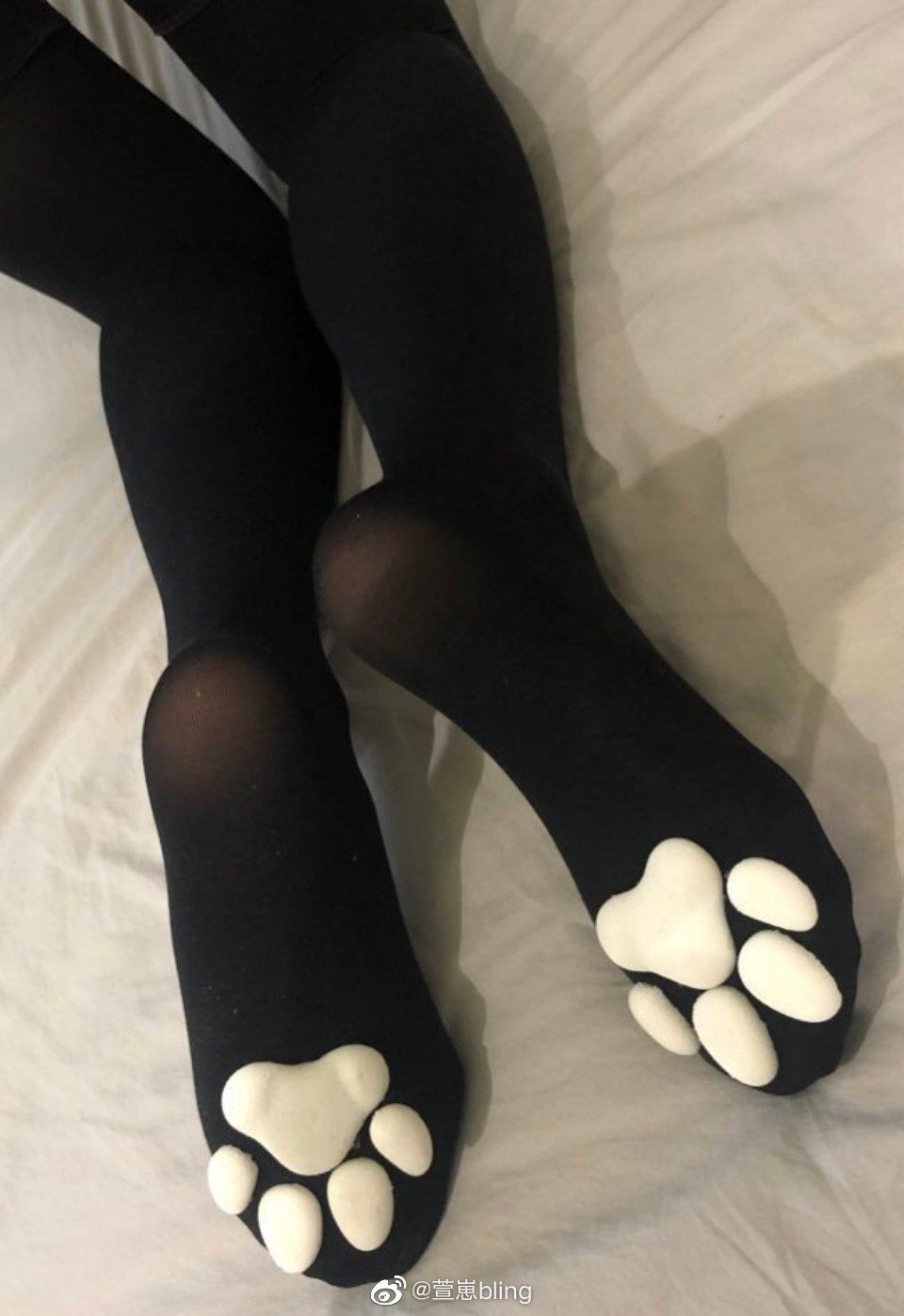 三种猫爪袜你爱哪一种