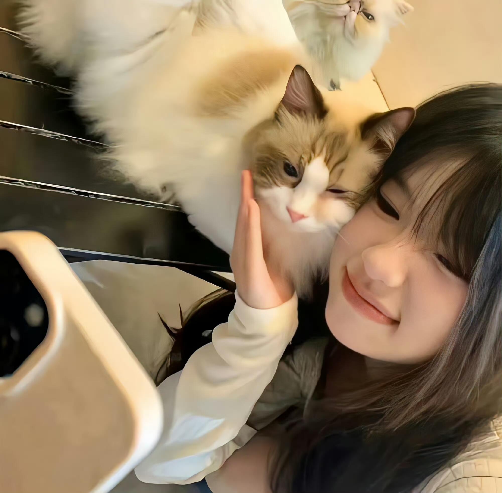 wechat小众可爱头像存