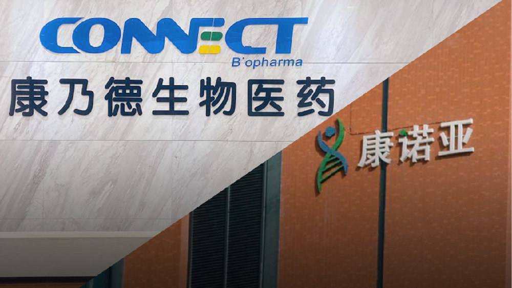 深度拆解荒诞的创新药公司估值模型:康诺亚vs康乃德,临床“豪赌”|普利_新浪新闻