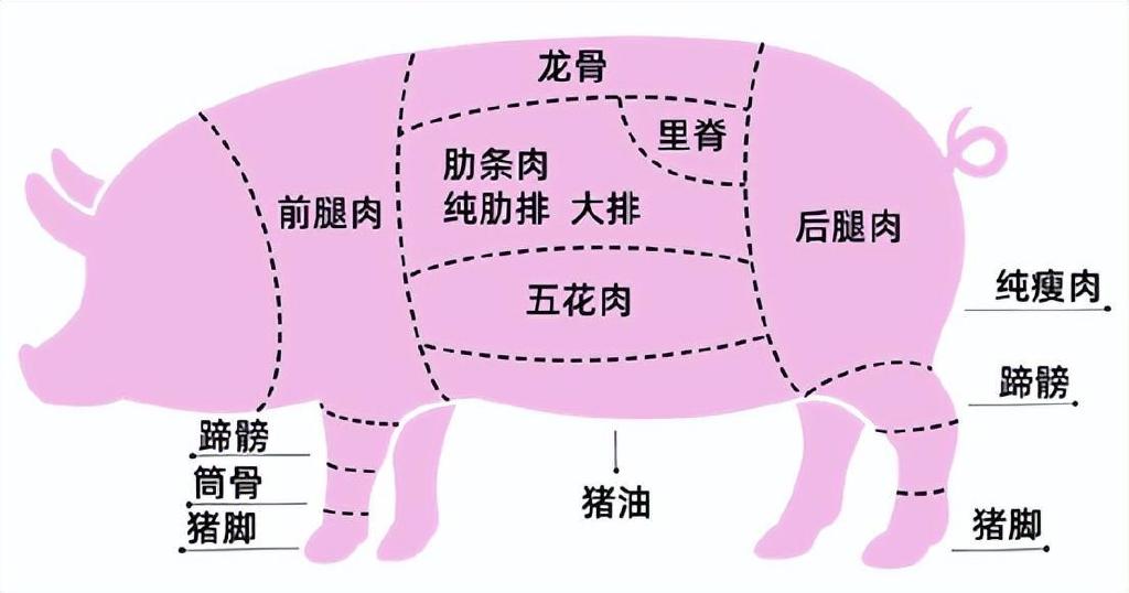 前腿肉,后腿肉,里脊肉,五花肉,怎么选购?