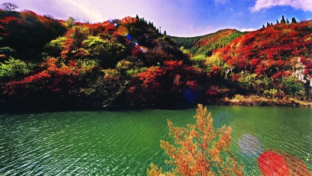 秋天美成童话秘境!淄博这些“赏红叶”宝藏地,我也就心动了999次吧~休闲区蓝鸢梦想 - Www.slyday.coM 秋天美成童话秘境!淄博这些“赏红叶”宝藏地,我也就心动了999次吧~休闲区蓝鸢梦想 - Www.slyday.coM