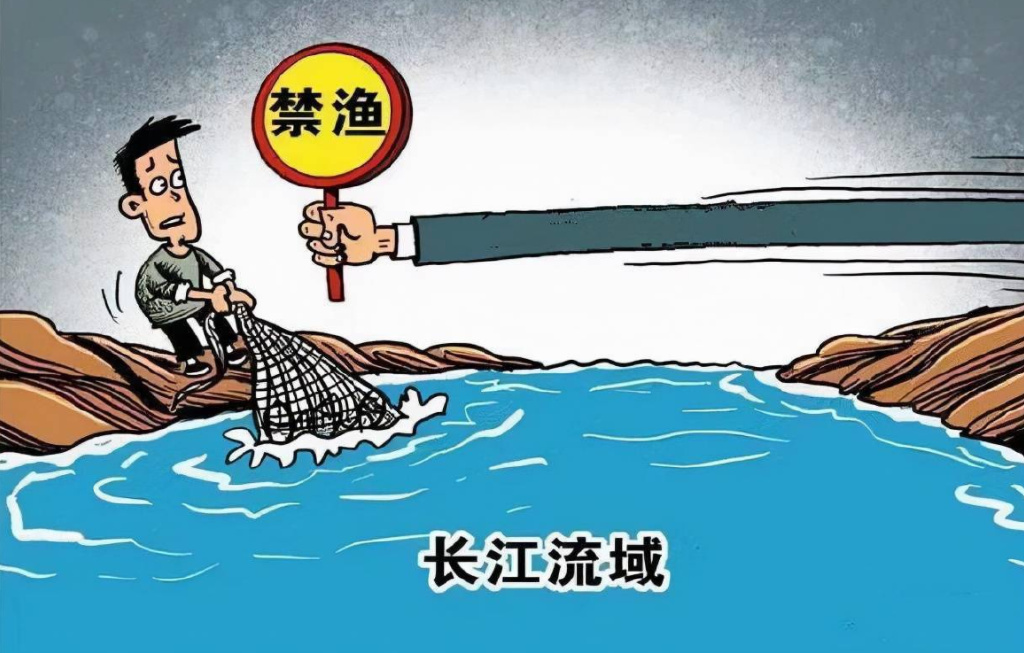 时隔12年,湘江段再现神秘鱼鳤!长江禁渔成效显著:鱼多到数不清__财经头条