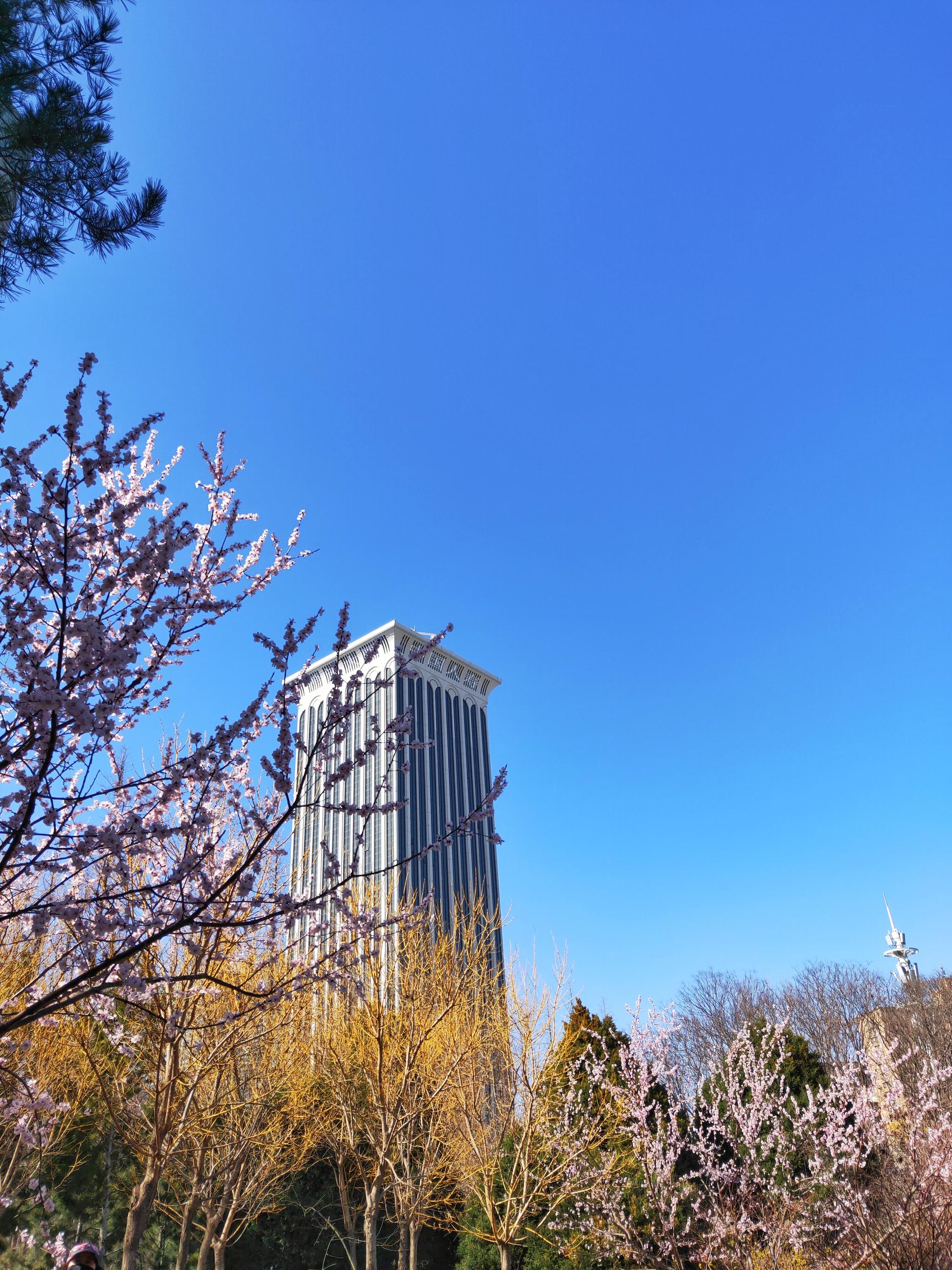最美大连的春天之劳动公园. 它是整个市中心最大的公园