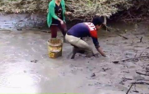 小伙摸鱼手被咬住,满怀期待提出泥面后,吓得不轻休闲区蓝鸢梦想 - Www.slyday.coM 小伙摸鱼手被咬住,满怀期待提出泥面后,吓得不轻休闲区蓝鸢梦想 - Www.slyday.coM