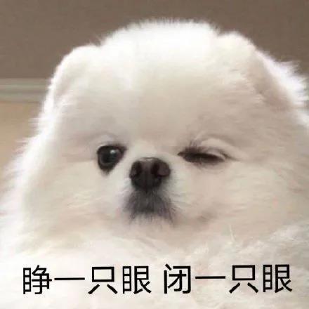 表情包风太大你说什么拿图点赞吱声