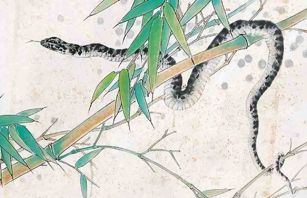 生肖蛇,10月:财运,事业运,感情运分析!