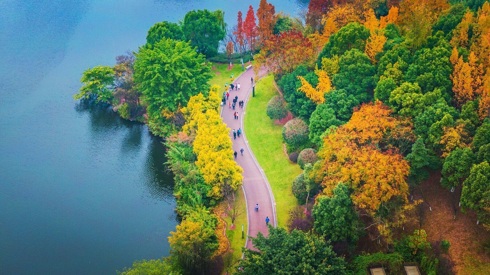 20字自贡发布城市品格表述语