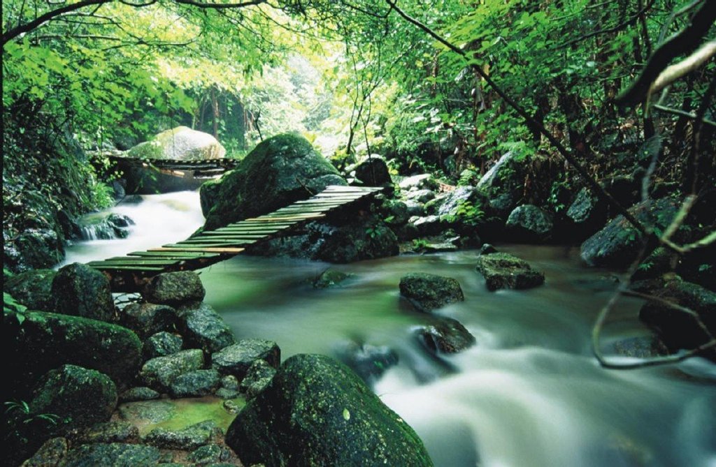 大容山国家森林公园:岭南一角的"欧陆风光"__财经头条