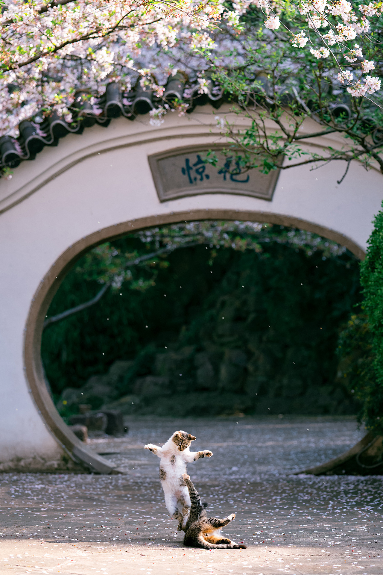 今天是世界摄影日,选个9张得意之作吧,从春到冬,从南到北……__财经头条