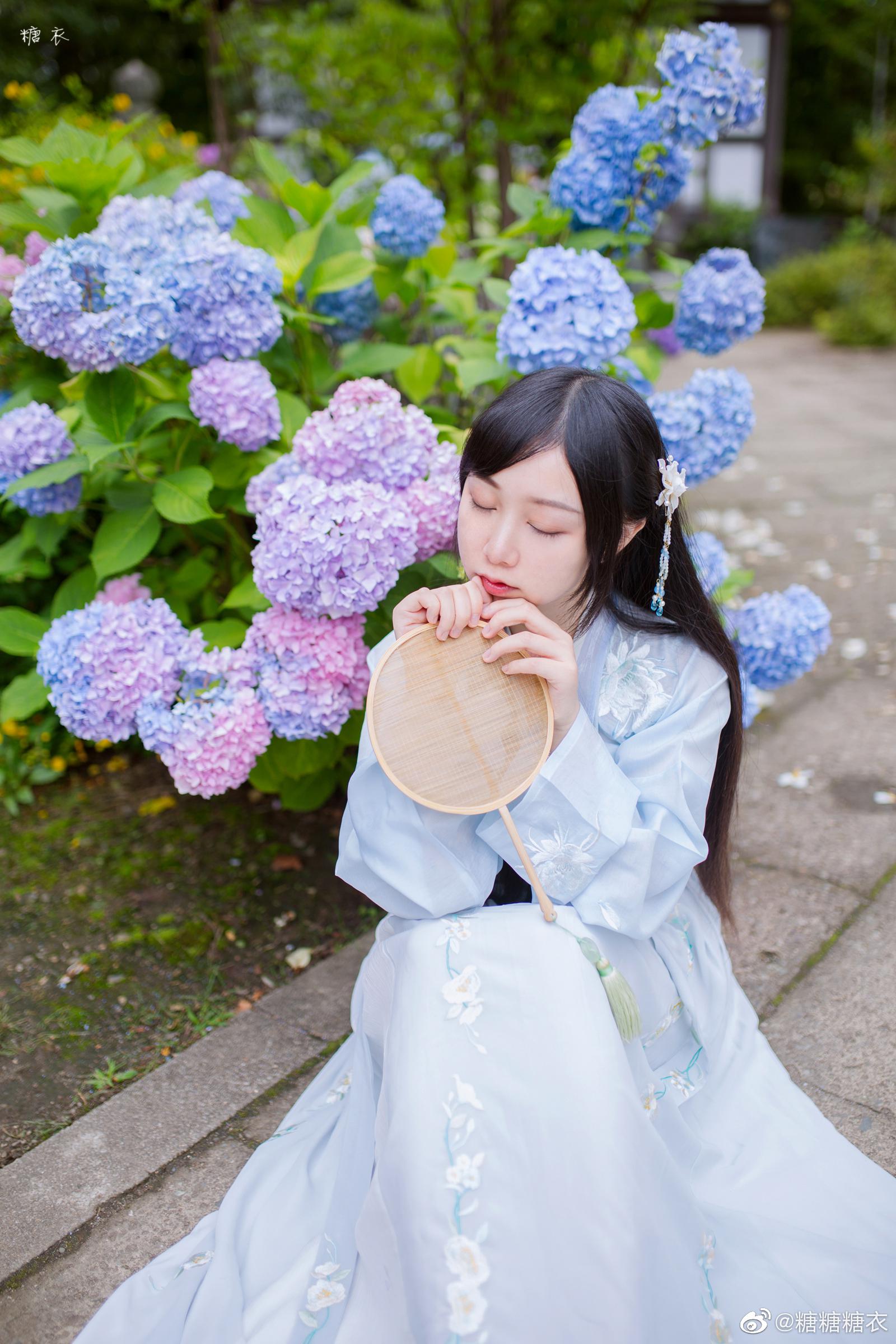 去年仙台北山资福寺的紫阳花 紫阳花和汉服还是很配的