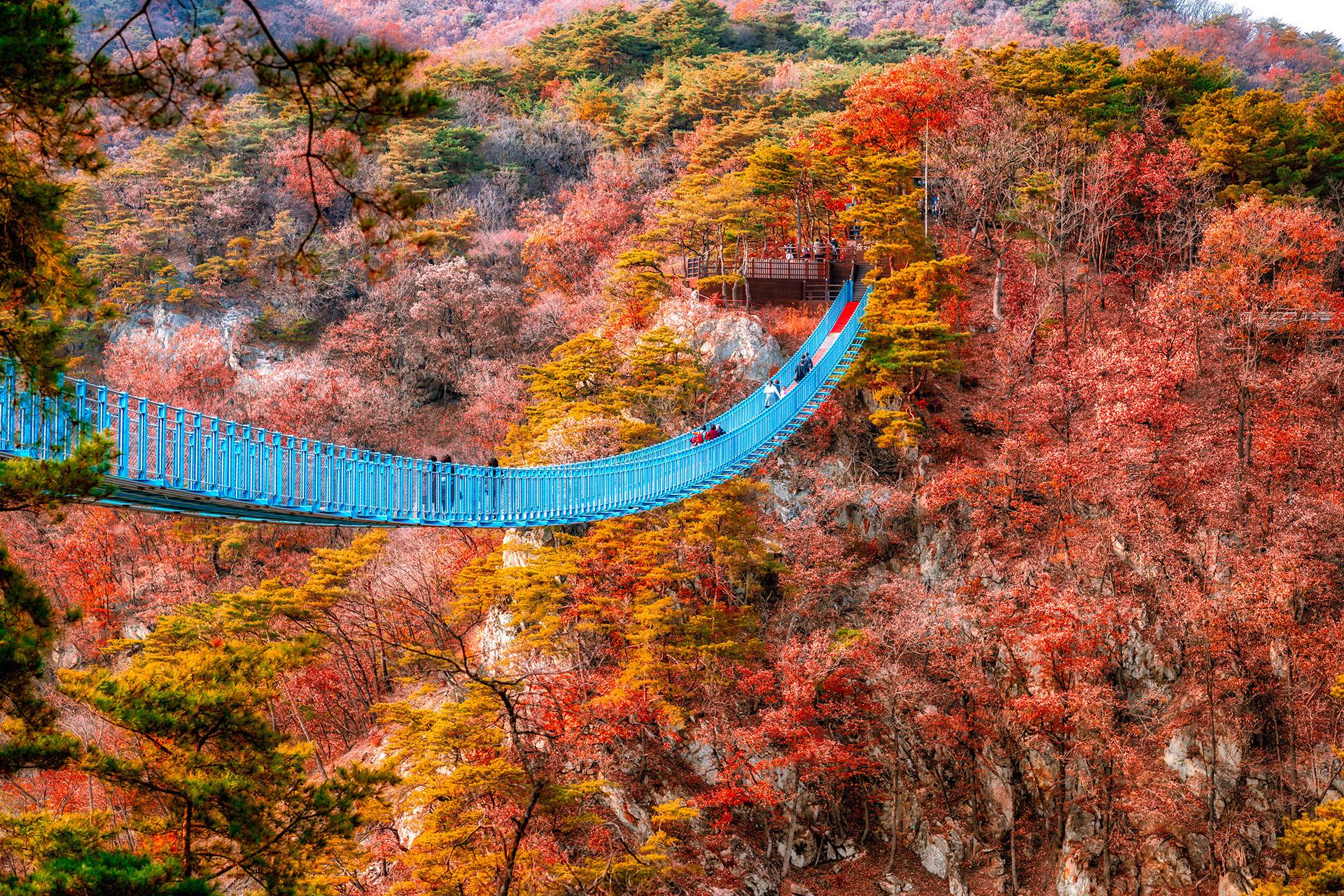 韩国原州小金山悬索吊桥.