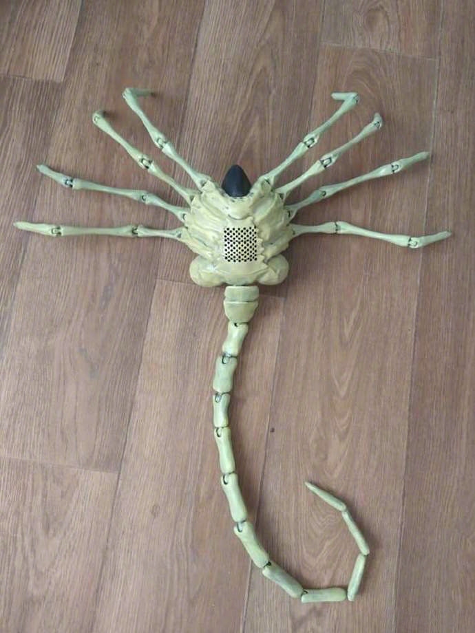 抱脸虫防护面具