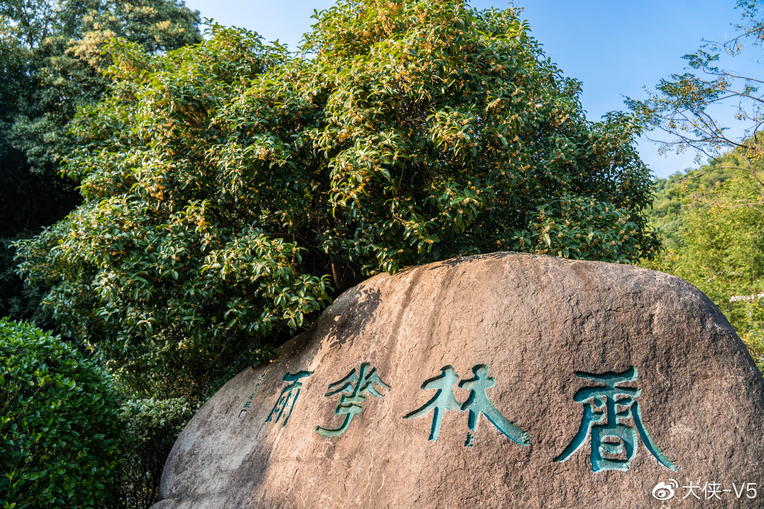 第一次来柯桥大香林,真的被这里的绝美自然风光和浓郁历史人文风情