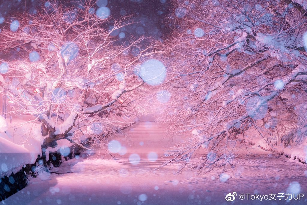 好想来一场不一样的冬天旅行穿好秋裤 说走就走1 好想来一场不一样的冬天旅行穿好秋裤 说走就走1