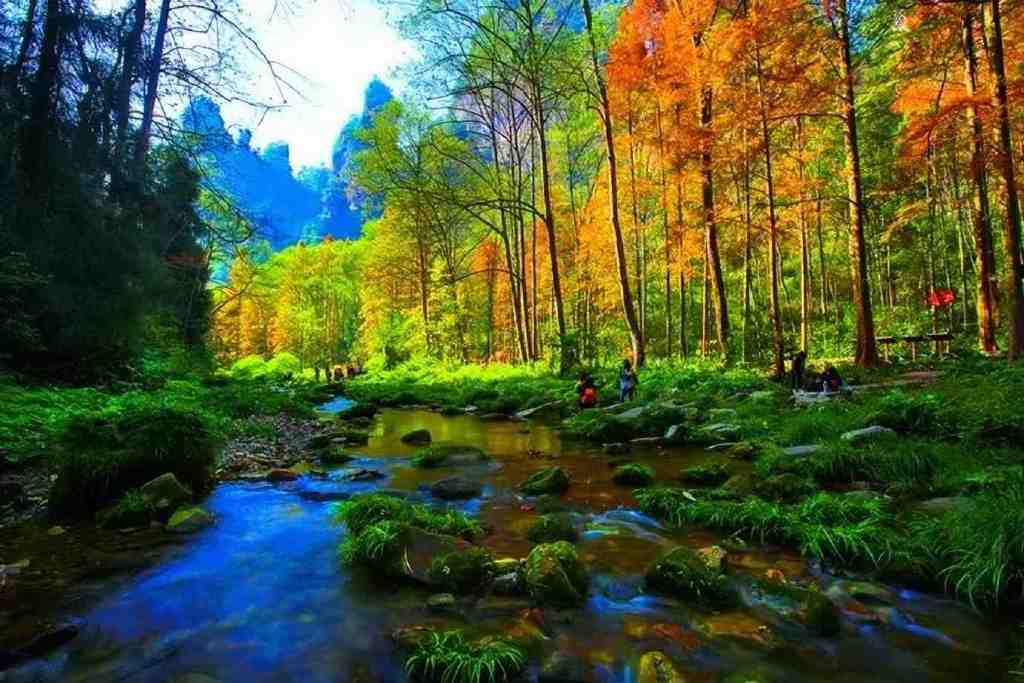 湖南的秋天有多美?这些宝藏秋景撑起了湖南的秋日颜值休闲区蓝鸢梦想 - Www.slyday.coM 湖南的秋天有多美?这些宝藏秋景撑起了湖南的秋日颜值休闲区蓝鸢梦想 - Www.slyday.coM