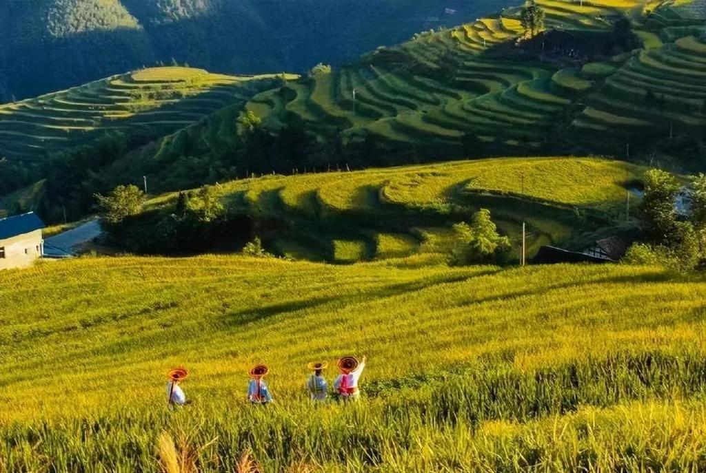 湖南的秋天有多美?这些宝藏秋景撑起了湖南的秋日颜值休闲区蓝鸢梦想 - Www.slyday.coM 湖南的秋天有多美?这些宝藏秋景撑起了湖南的秋日颜值休闲区蓝鸢梦想 - Www.slyday.coM