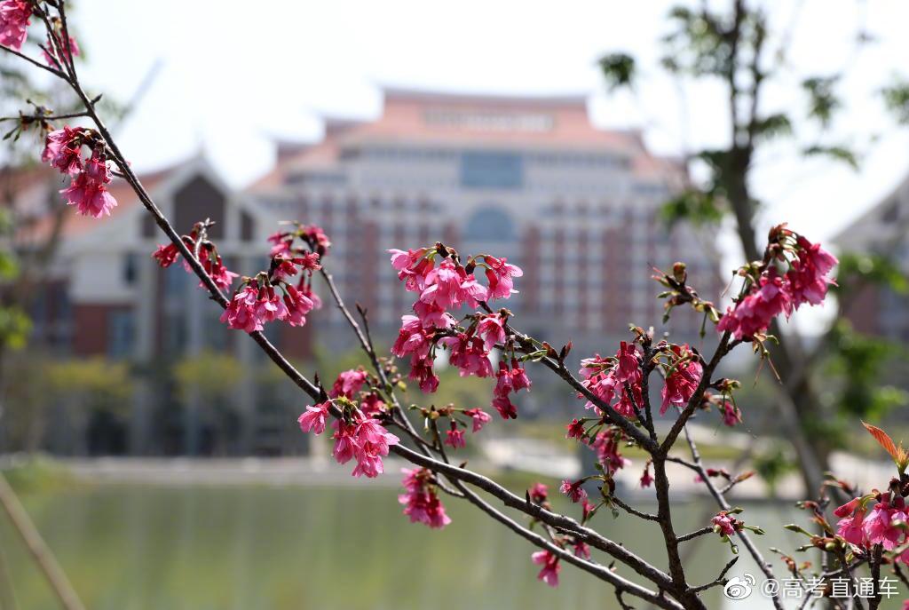 校园风景厦门医学院