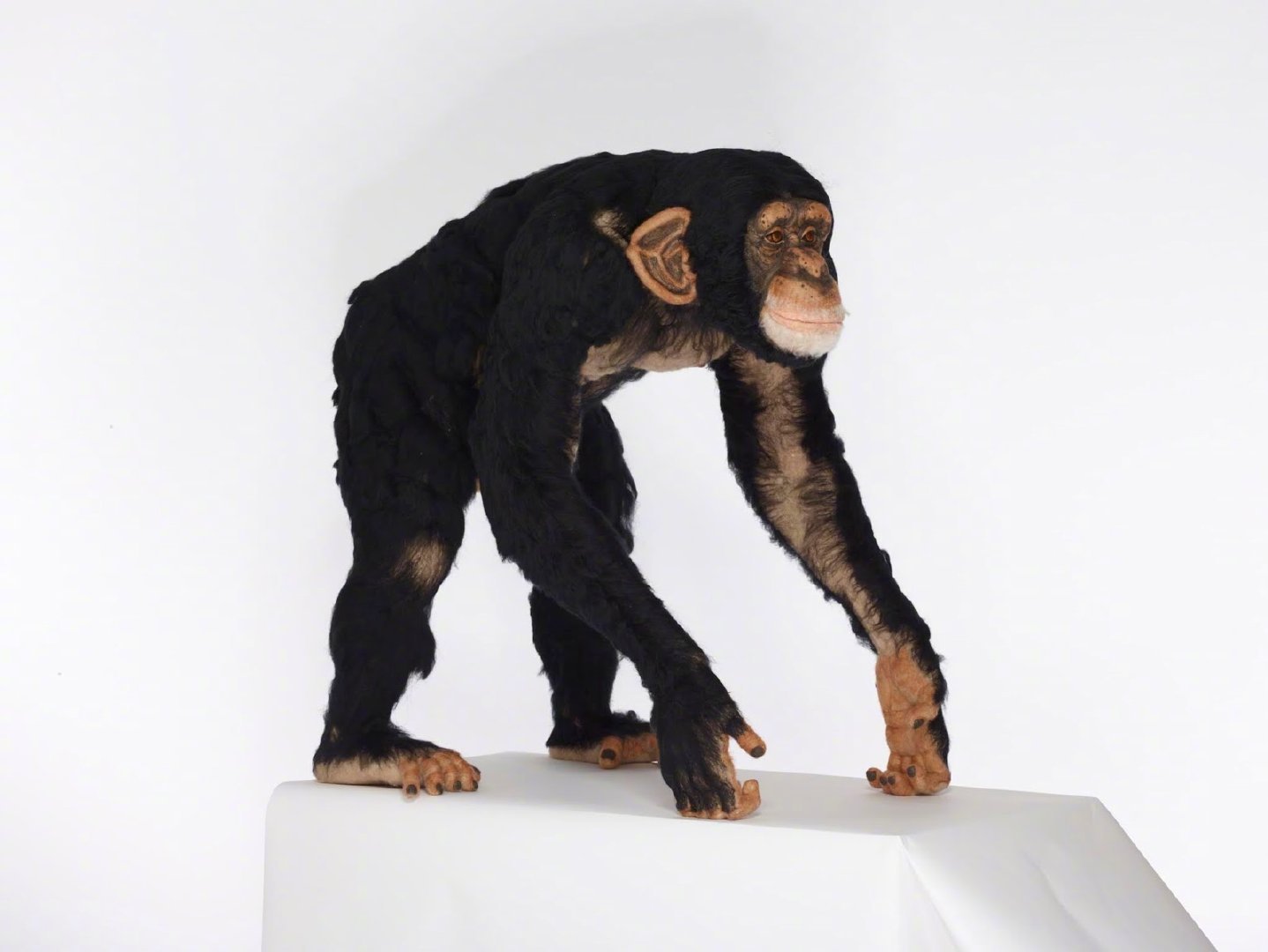 来自美国艺术家 kiyoshi mino 羊毛毡作品欣赏