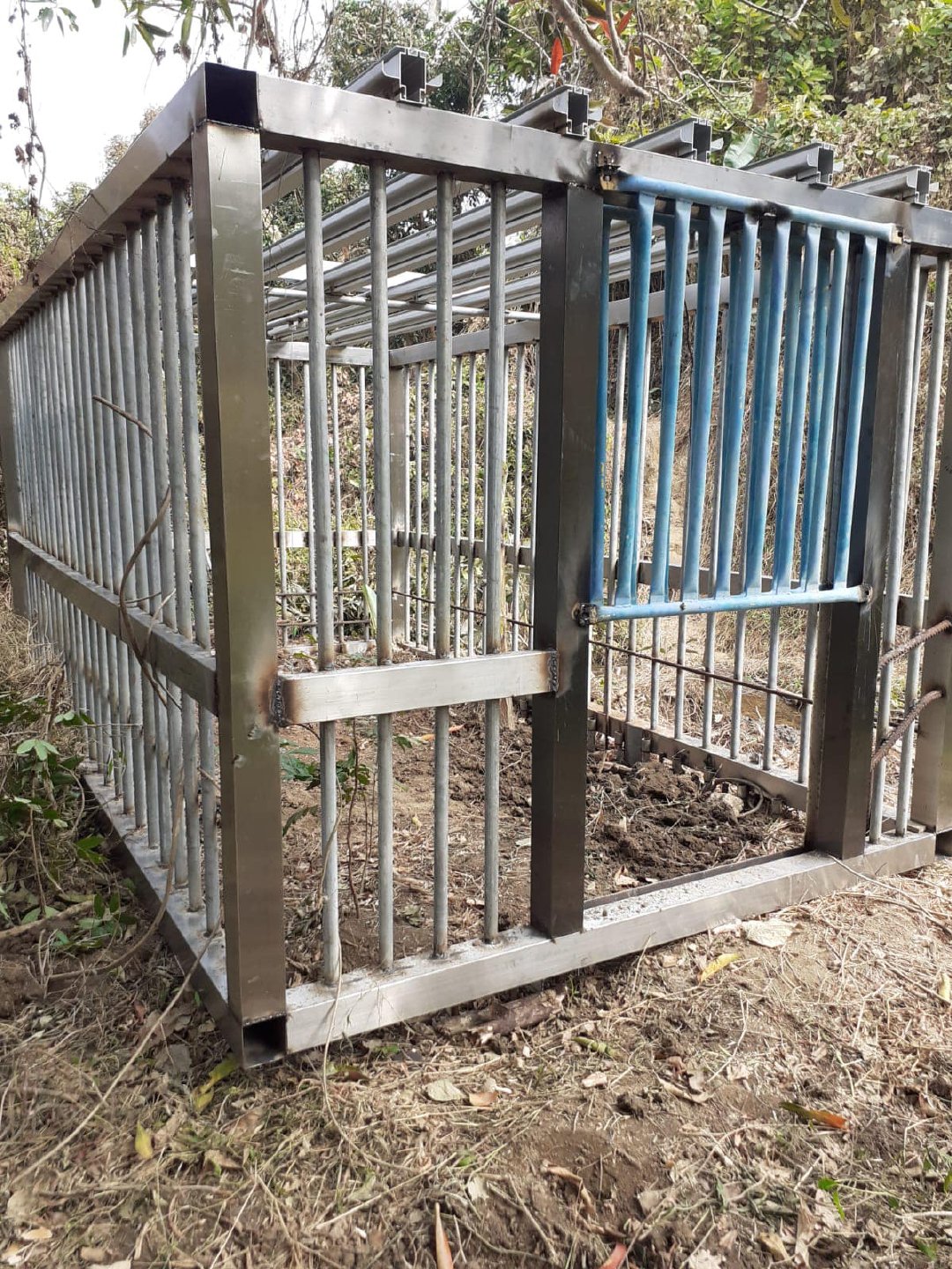 有人在元朗发现捕捉野猪的笼子……_高清图集_新浪网