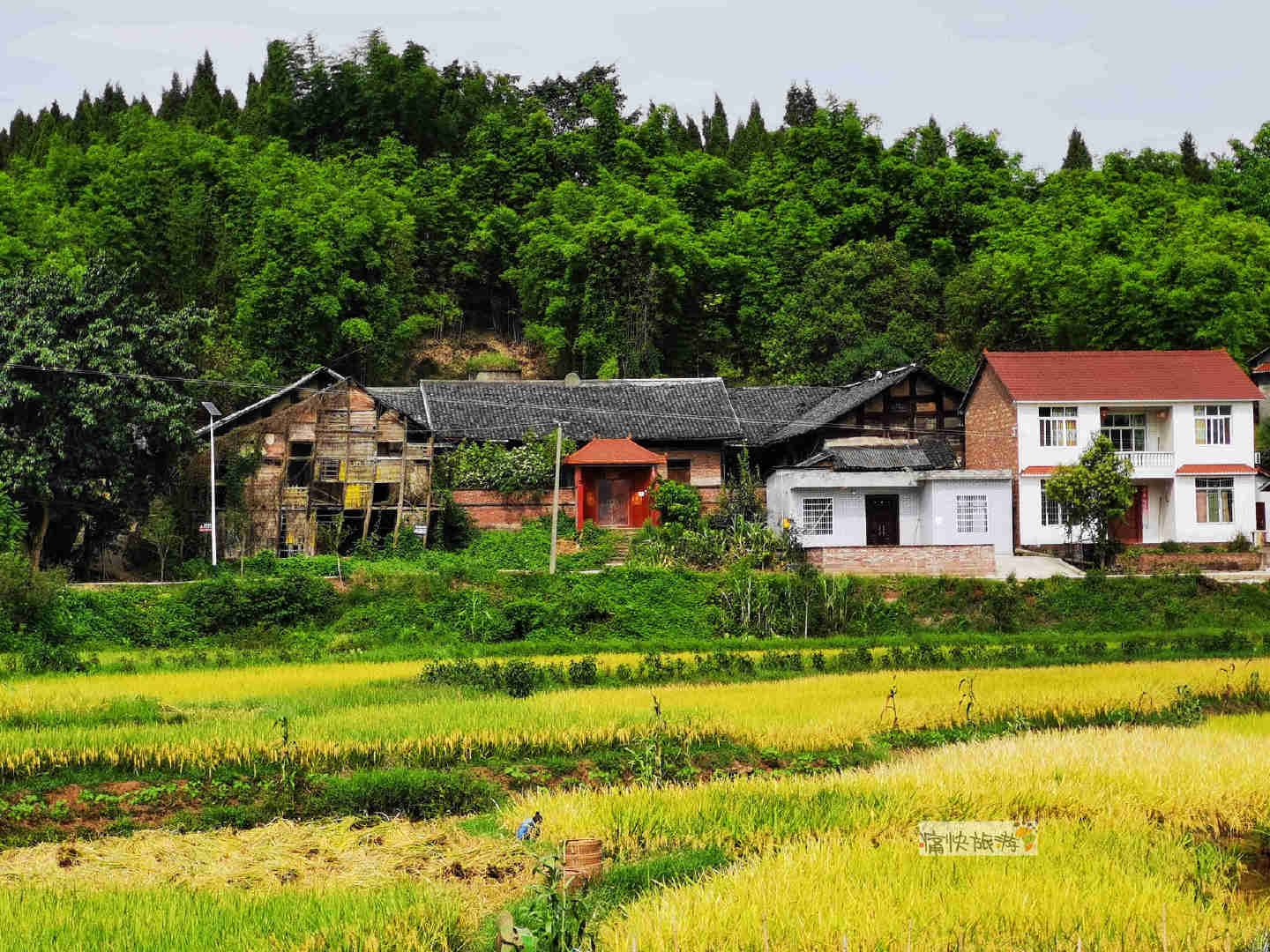 山老街,恩荣五代坊,云峰寺,九龙湖,肖凤阶烈士陈列馆,对兜山镇的历史