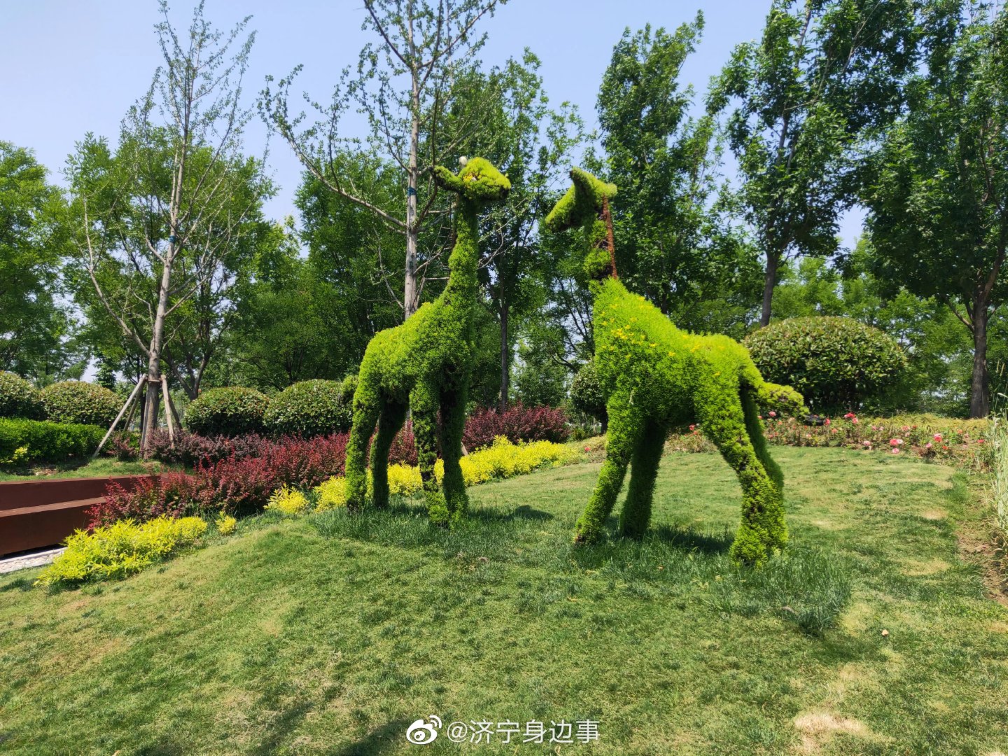 济宁 济宁凤凰台植物园,所有动物都穿上了绿植衣服,分外新奇,引人入胜