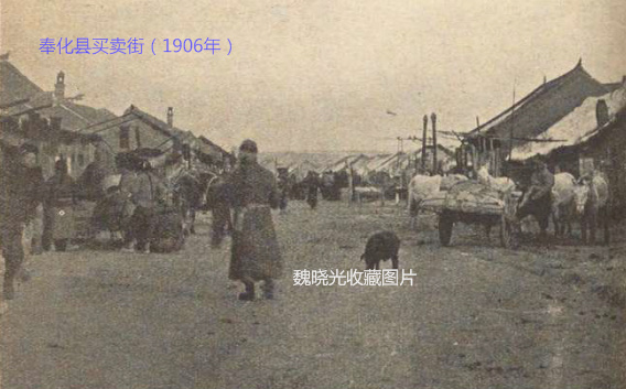 梨树县关键词seo排名优化