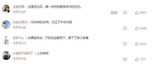 热搜第一!全国仅有5株5000岁古树,均在这一省!网友:见证了中华文明休闲区蓝鸢梦想 - Www.slyday.coM 热搜第一!全国仅有5株5000岁古树,均在这一省!网友:见证了中华文明休闲区蓝鸢梦想 - Www.slyday.coM