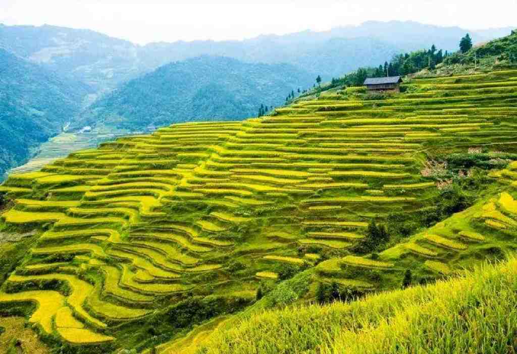 湖南的秋天有多美?这些宝藏秋景撑起了湖南的秋日颜值休闲区蓝鸢梦想 - Www.slyday.coM 湖南的秋天有多美?这些宝藏秋景撑起了湖南的秋日颜值休闲区蓝鸢梦想 - Www.slyday.coM