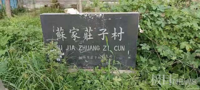 山东两七旬老人杀人沉尸案明日二审，家属：已掌握翻案关键证据休闲区蓝鸢梦想 - Www.slyday.coM