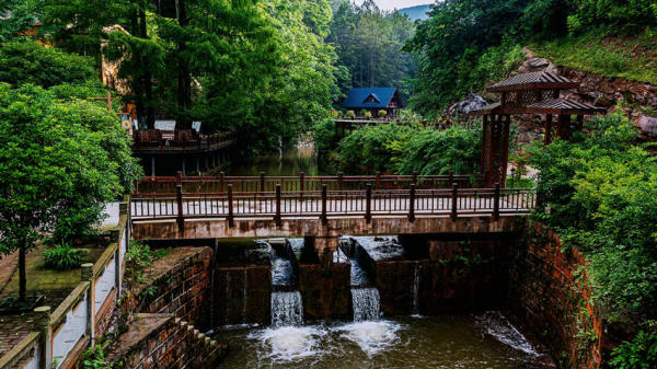 四川宣汉五马归槽林场:林区变景区 "青山"变"金山"