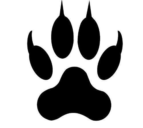 心理测试:哪一个是幼犬的爪印?衡量一下你今年是否多财运!