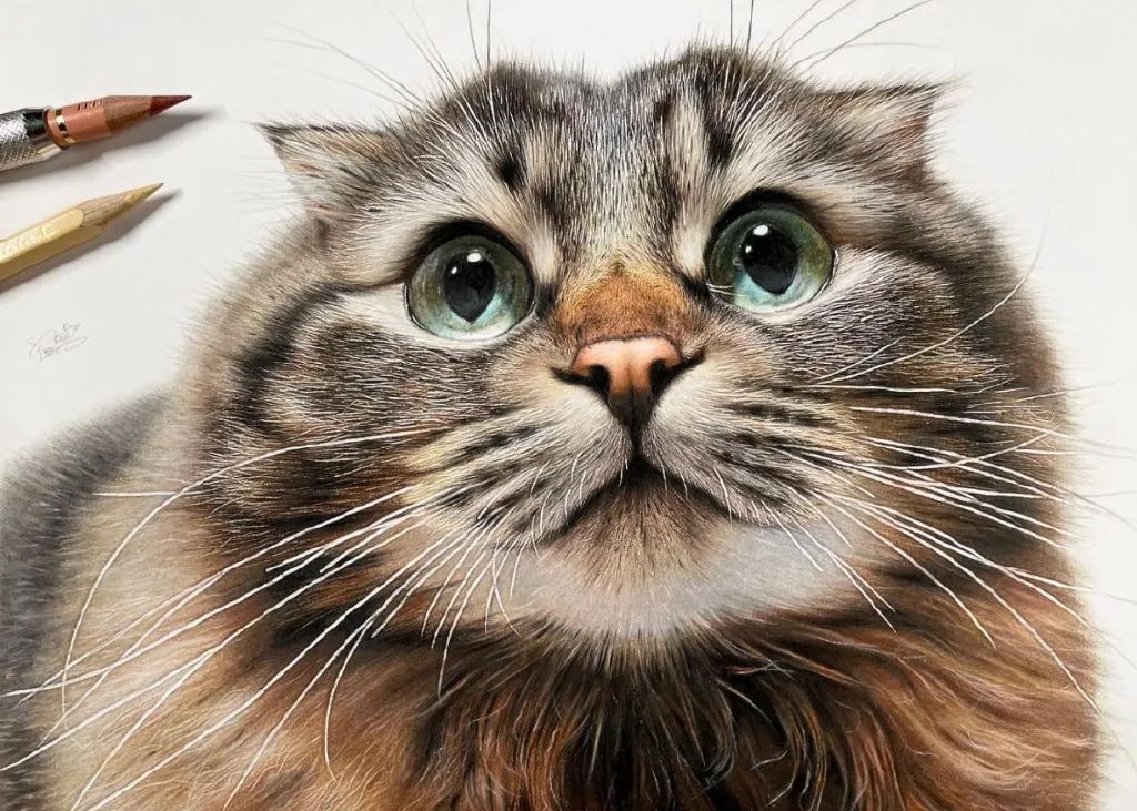 一幅彩铅画耗费50个小时,看到完整作品后,每个人都说值|超写实|画家