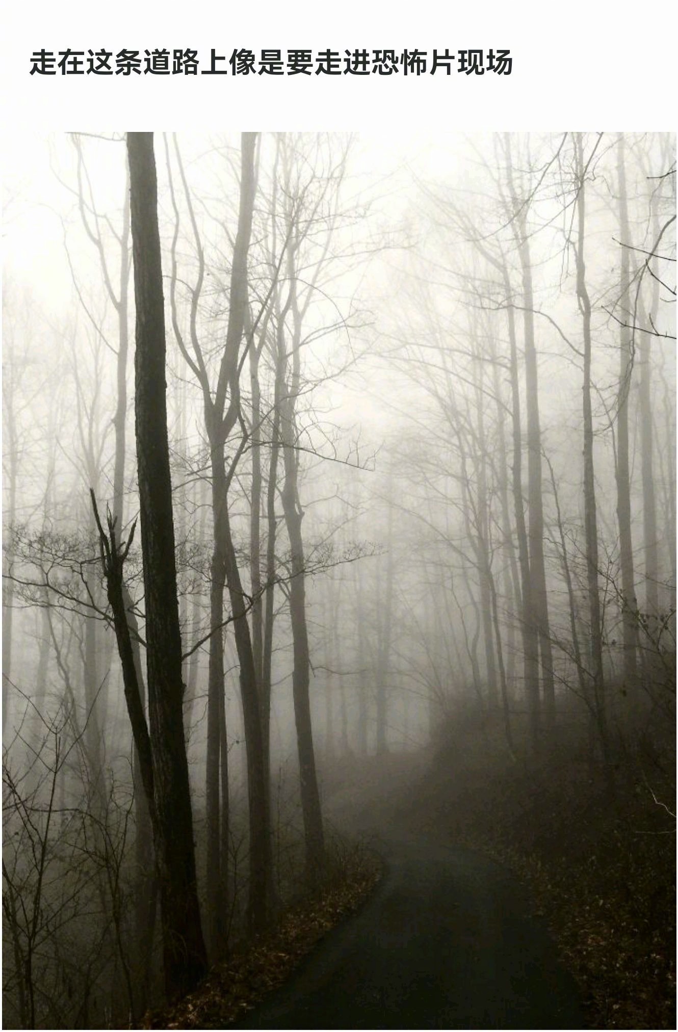 莫名拍出惊悚感的照片诡异慎点