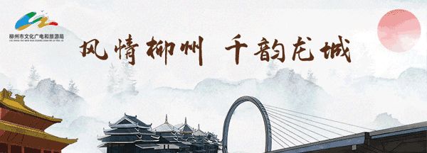 绍兴柳州网站推广 新浪网