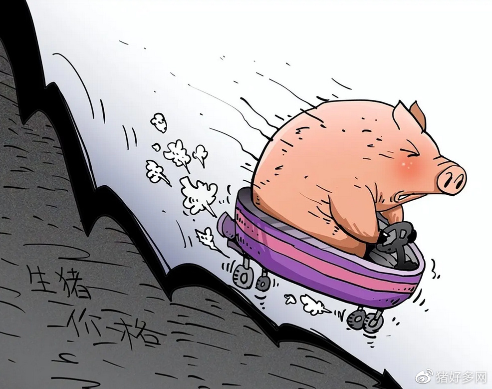 命运弄人的行情