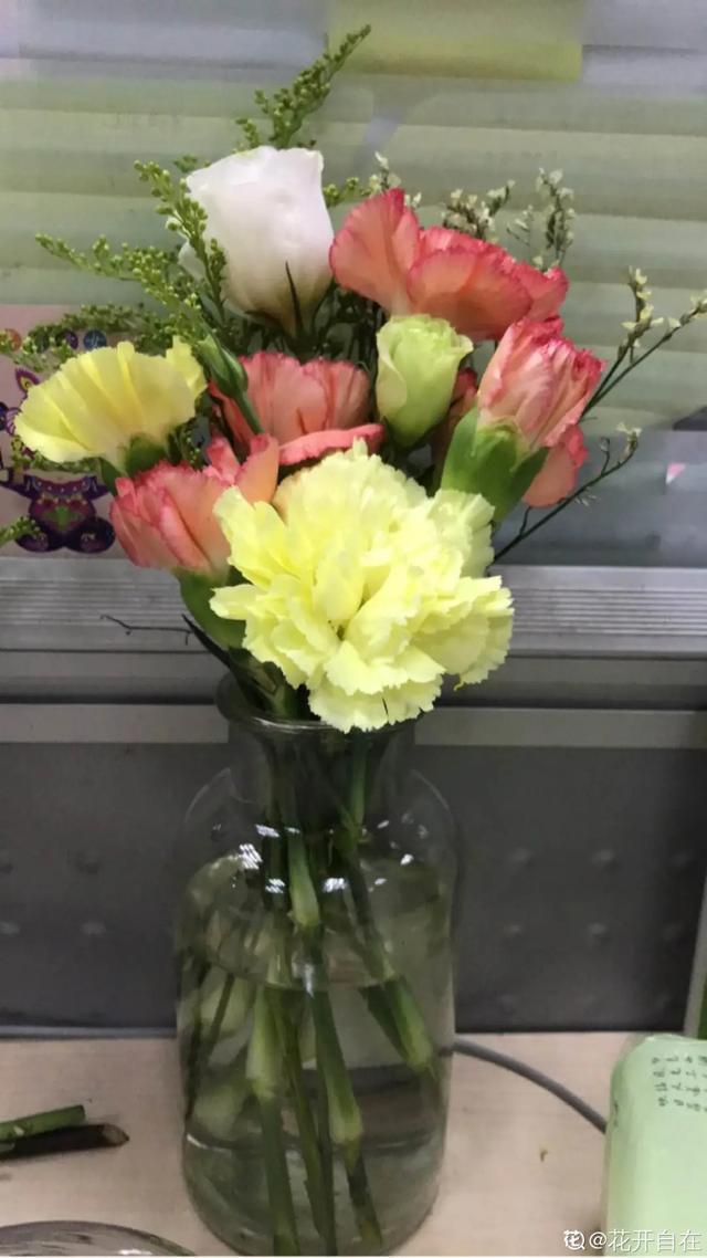 这花爆开50朵剪几枝送人倍有面子比买鲜花强多了