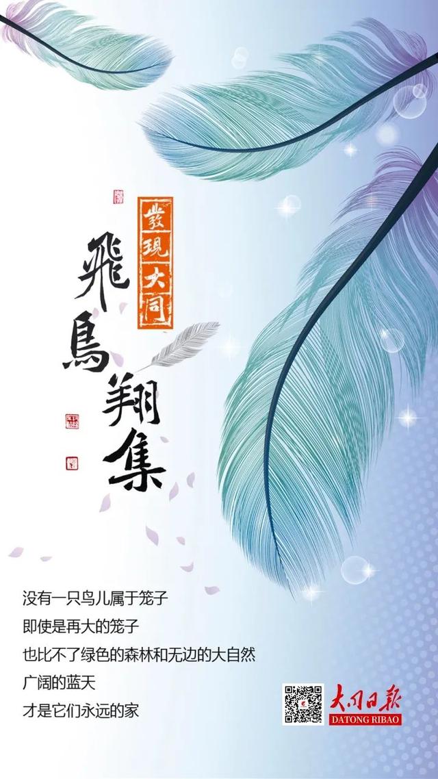 别看TA其貌不扬,这可是我国独有的鸟类休闲区蓝鸢梦想 - Www.slyday.coM 别看TA其貌不扬,这可是我国独有的鸟类休闲区蓝鸢梦想 - Www.slyday.coM