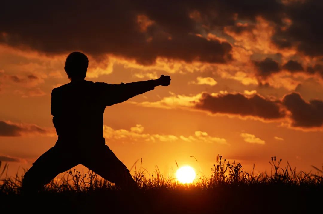 观点|武术名家张全亮:中国传统武术人的技击功能,为何会退化