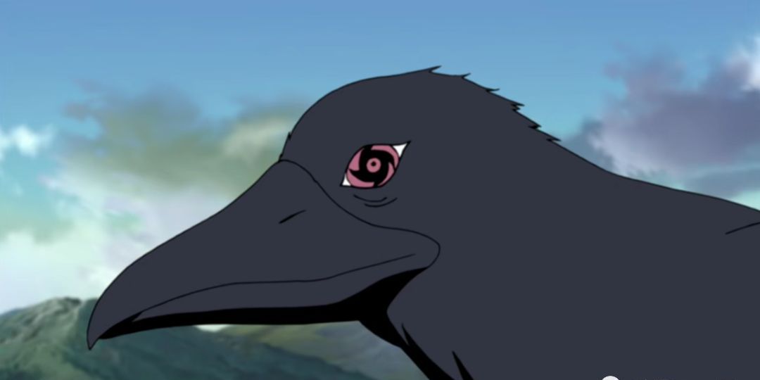 不过最具代表性的还是那只移植了止水写轮眼的乌鸦吧