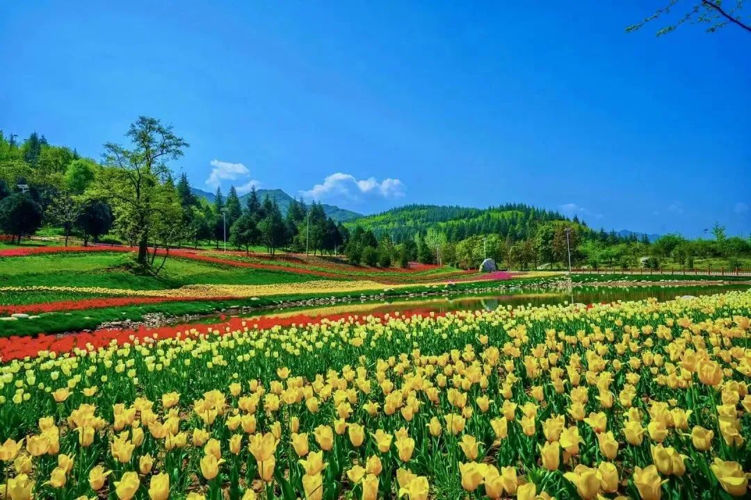 西安秦岭楼观春季旅游推介会在秦岭国家植物园顺利召开