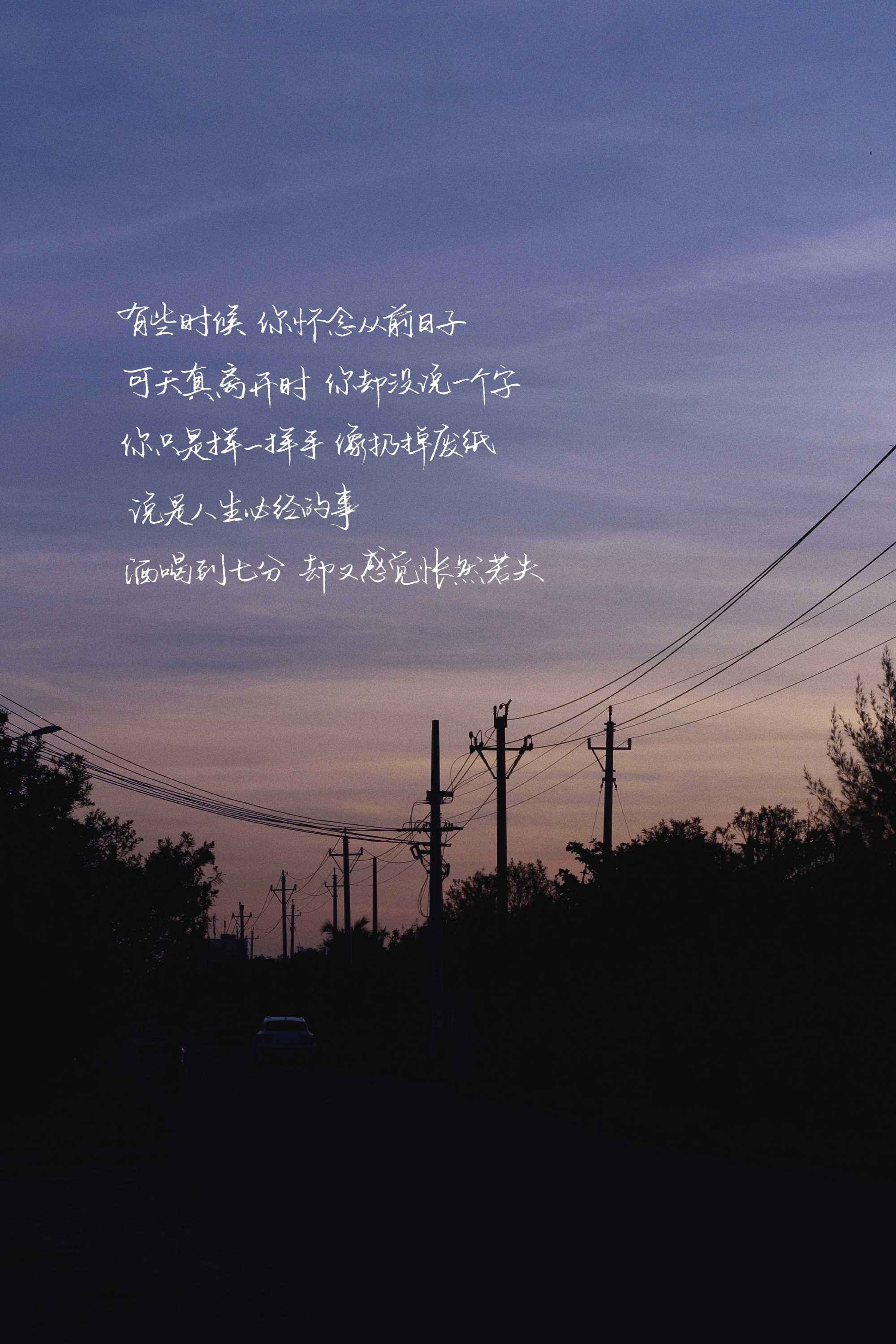 许多年前 你有一双清澈的双眼奔跑起来 像是一道春天的闪电想