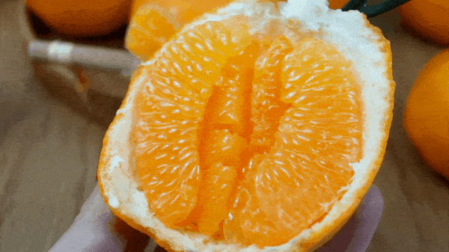 冬日限定粑粑柑来啦高维c推荐果肉细腻少渣无籽简直不要太好吃