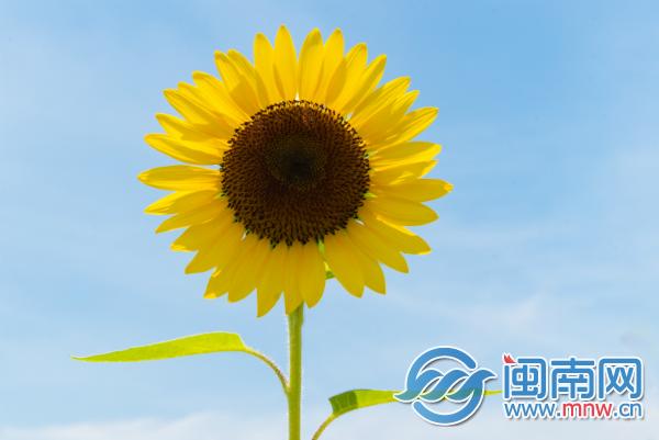 2021年最后一个月怎么发朋友圈？2021最后一个月励志说说休闲区蓝鸢梦想 - Www.slyday.coM